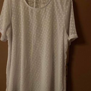 Personal Touch White Sheer Textured Pullover Tunic